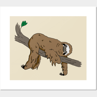 Cute Sloth on a branch Posters and Art